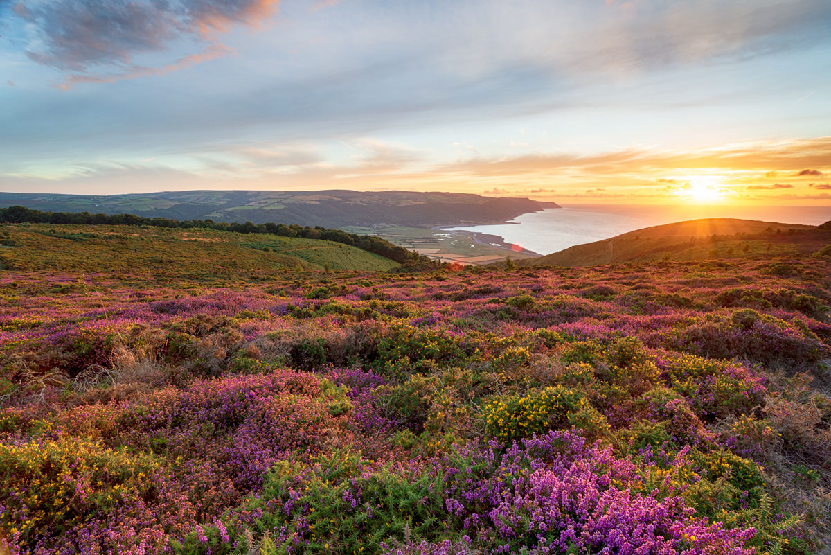 Exmoor landscape